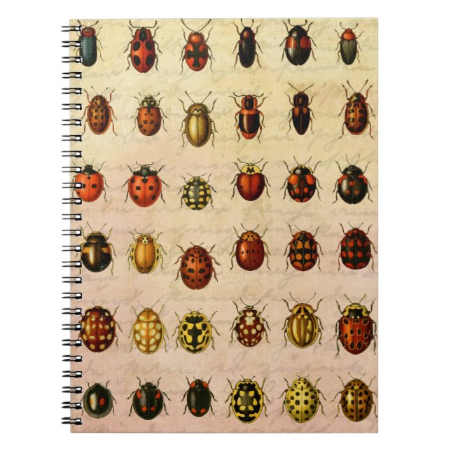 Cuaderno Ladybug Ladybird Beetle Insect Bug (Frente)