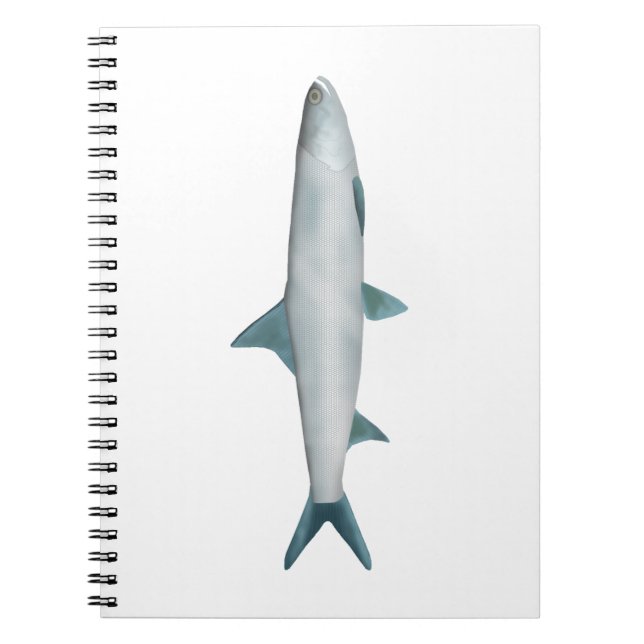 Cuaderno Ladyfish de Hawái (Frente)