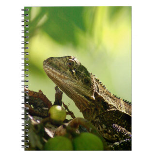Cuaderno Lagarto australiano que oculta entre las hojas,