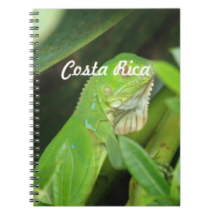 Cuaderno Lagarto de Rican de la costa