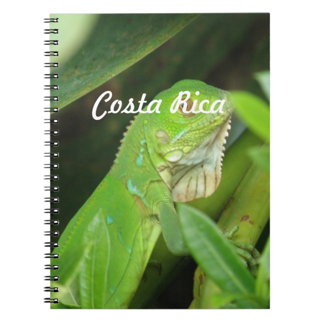 Cuaderno Lagarto de Rican de la costa (Frente)