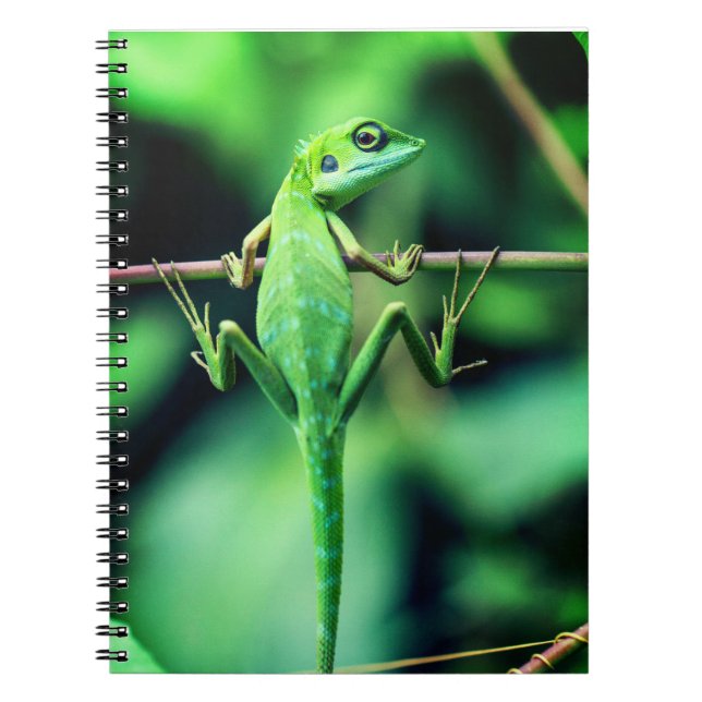 Cuaderno lagarto, reptil, criatura (Frente)