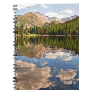 Cuaderno Lago bear. Colorado