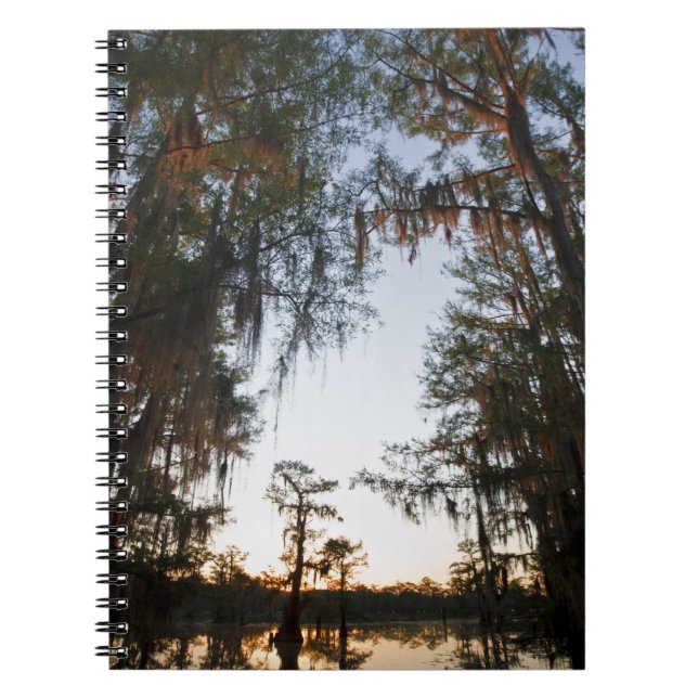 Cuaderno Lago Caddo al amanecer (Frente)