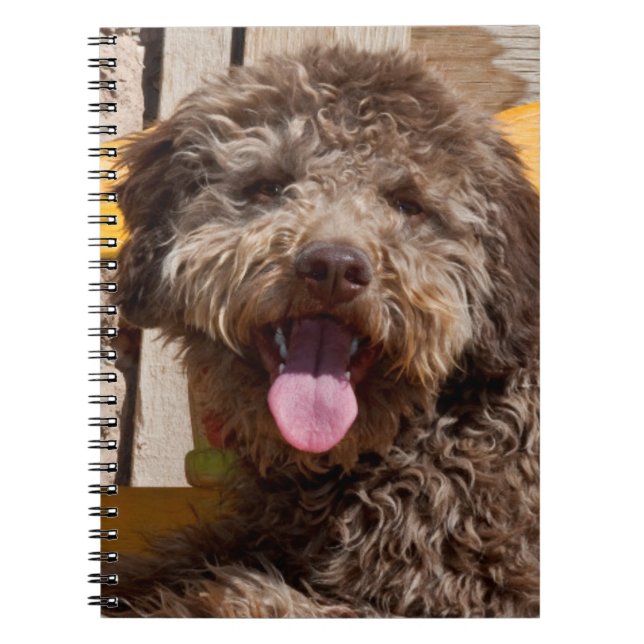 Cuaderno Lagotto Romagnolo acostado en un banco de madera (Frente)