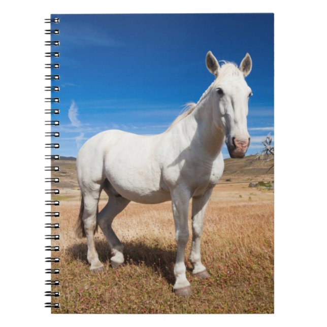 Cuaderno Laguna Azul, paisaje con caballos (Frente)