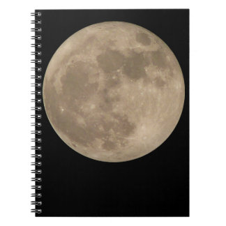 Cuaderno Láminas portátiles Láminas Llenas Libros Regalos