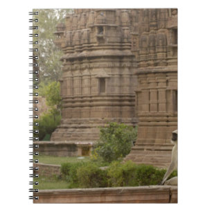Cuaderno Langures de Hanuman o langur gris, común o de cara