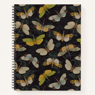 Cuaderno Lanternflies - Pyrops Candelaria & Planthoppers