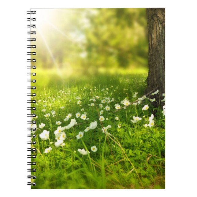 Cuaderno Las alegrías de la primavera (Frente)