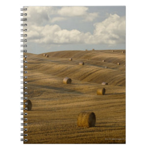 Cuaderno Las balas y el balanceo de heno ajardinan,