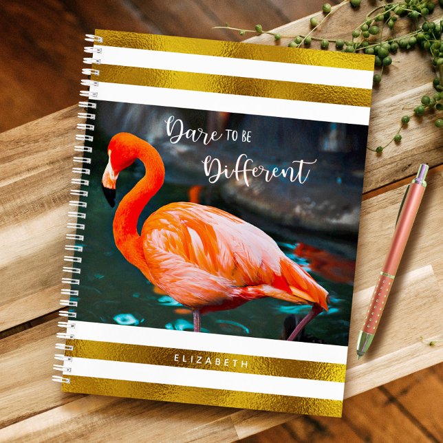 Cuaderno Las Bandas Blancas De Oro Flamingo Se Atreven A Se (Subido por el creador)