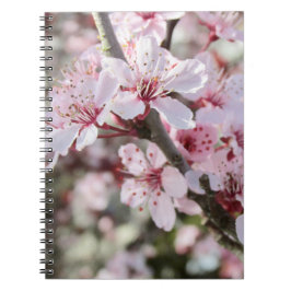 Cuaderno Las Flores De Color Rosa Son Testimonios Rojos.