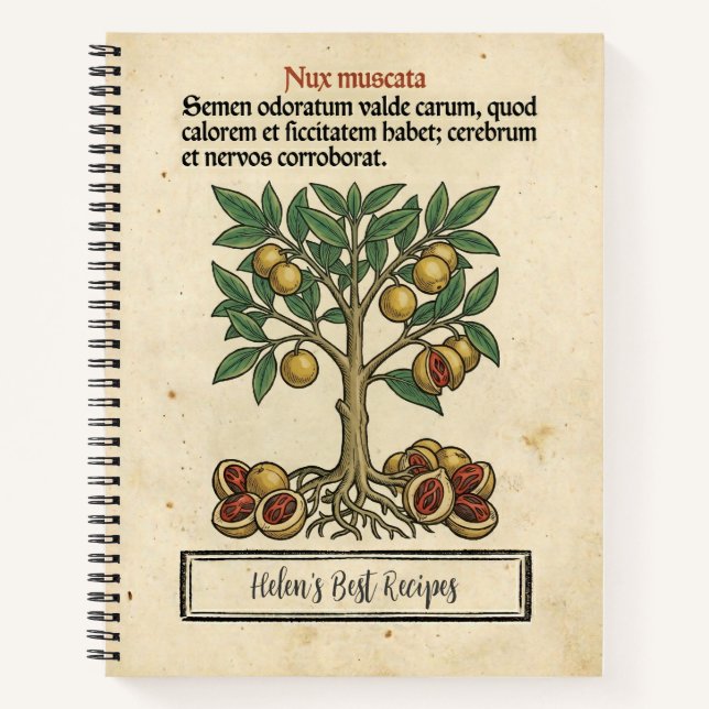 Cuaderno Las Guerras de las Especias Nuez Moscada: Antigua  (Anverso)