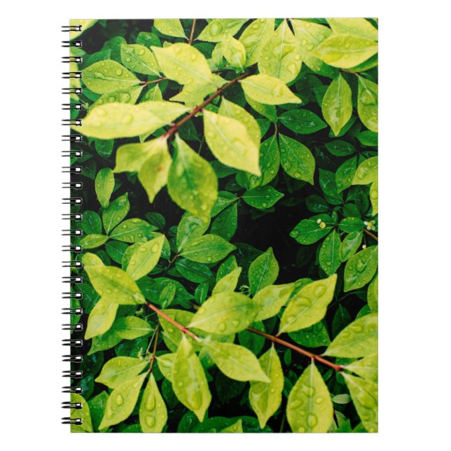 Cuaderno las hojas verdes frescas se ven hermosas y muy nat (Frente)
