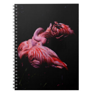 Cuaderno Las llamas en la oscuridad