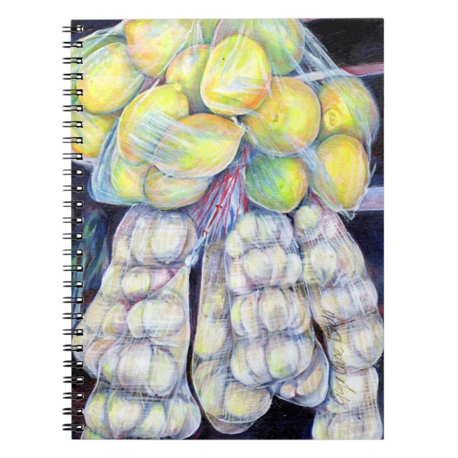 Cuaderno Las maravillas de los mercados occidentales, Singa (Frente)