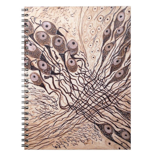 Cuaderno Las neuronas 1 de Cajal (Frente)