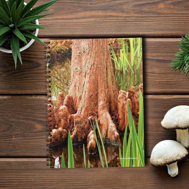 Cuaderno Las rodillas de Cypress calvas (Bald Cypress Knees in the Water Journal Cover Photo)