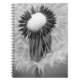 Cuaderno Las semillas del mañana