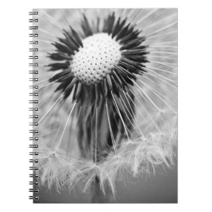 Cuaderno Las semillas del mañana