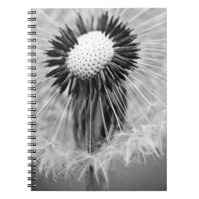 Cuaderno Las semillas del mañana (Frente)