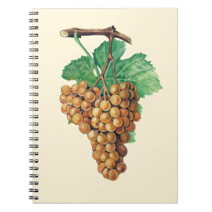 Cuaderno Las uvas "blanc del terret", color: buttercream