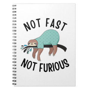 Cuaderno Lástima No Rápido No Furioso