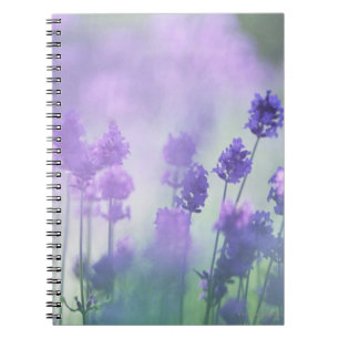 Cuaderno Lavanda 2