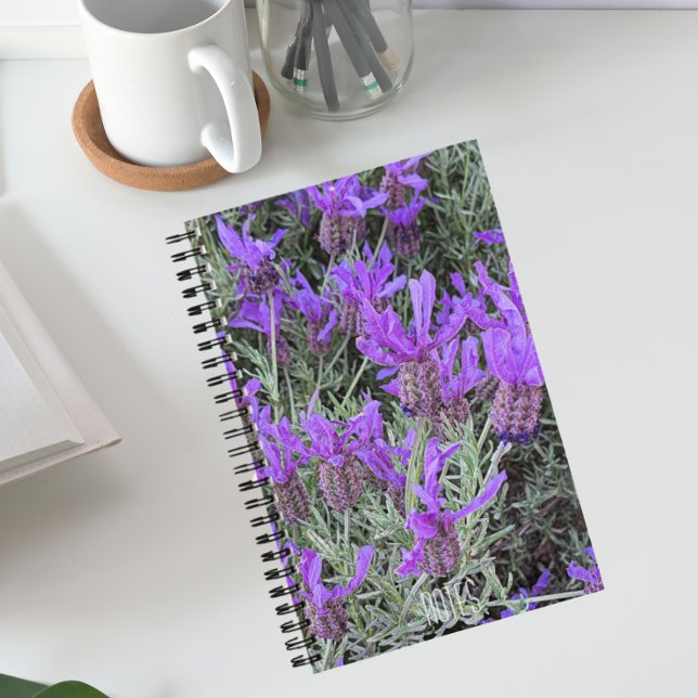 Cuaderno Lavanda española florece la flor (In Situ)