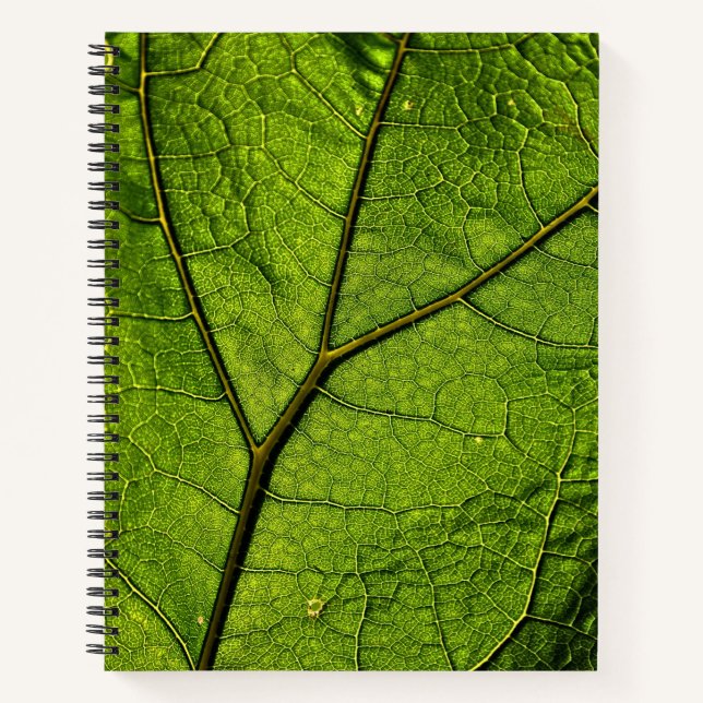 Cuaderno Leaf. Butterbur verde (Anverso)