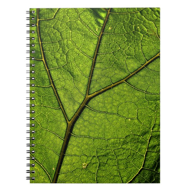 Cuaderno Leaf. Butterbur verde (Frente)