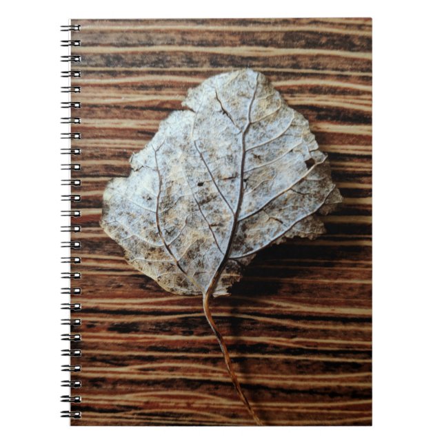 Cuaderno Leaf de oro (Frente)