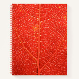 Cuaderno Leaf otoñal