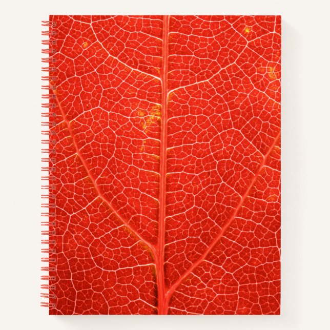Cuaderno Leaf otoñal (Anverso)