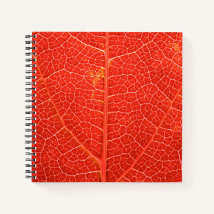 Cuaderno Leaf otoñal