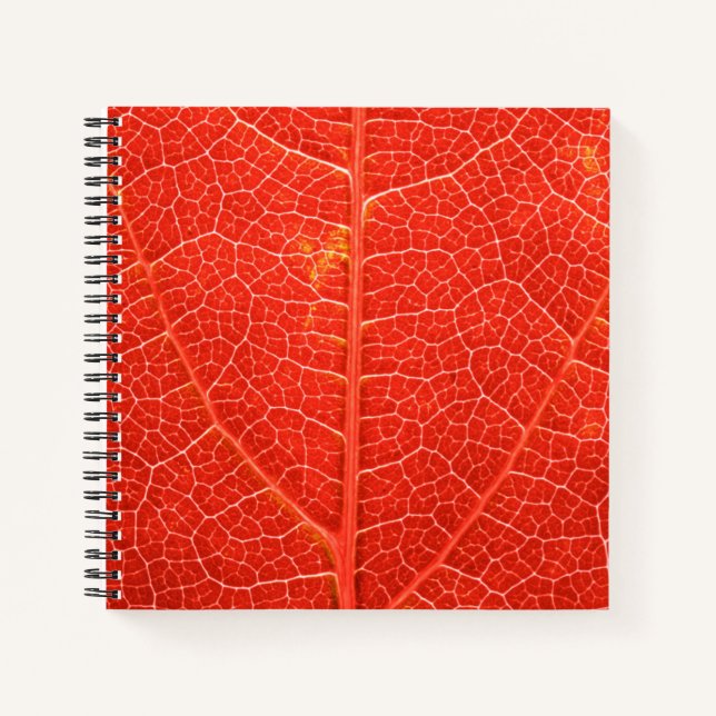 Cuaderno Leaf otoñal (Anverso)