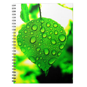 Cuaderno Leaf verde