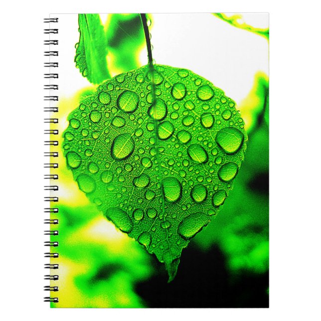Cuaderno Leaf verde (Frente)