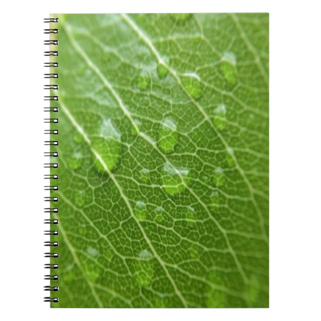 Cuaderno Leaf verde (Frente)