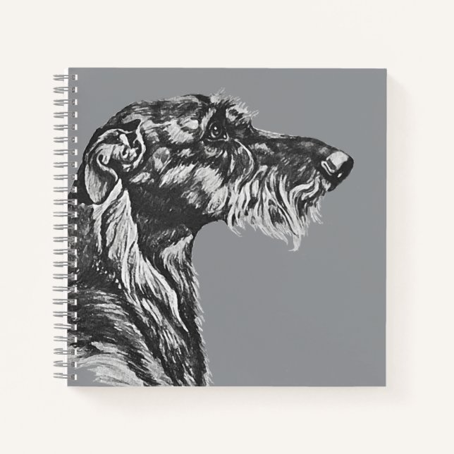 Cuaderno Lebrel Escocés (Anverso)
