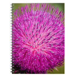 Cuaderno Leche con el cardo cerrado