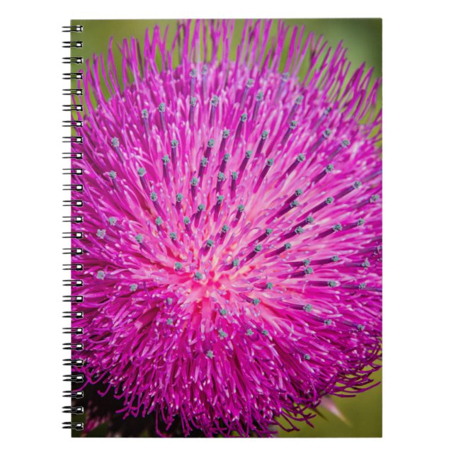 Cuaderno Leche con el cardo cerrado (Frente)