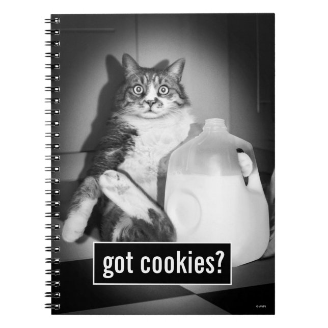 Cuaderno Leche de gato de jug (Frente)