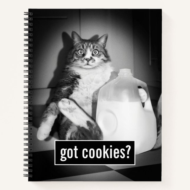 Cuaderno Leche de gato de jug (Anverso)