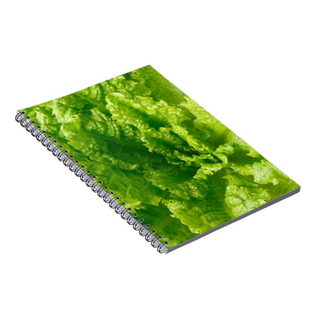 Cuaderno Lechuga (Lado Derecho)