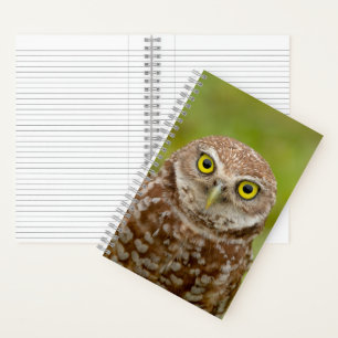 Cuaderno Lechuza Ardiente