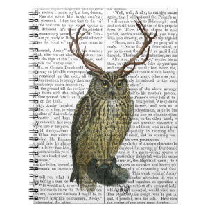 Cuaderno Lechuza con anillos llanos 2