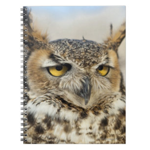 Cuaderno Lechuza Cuerno Grande (Bubo virginianus)
