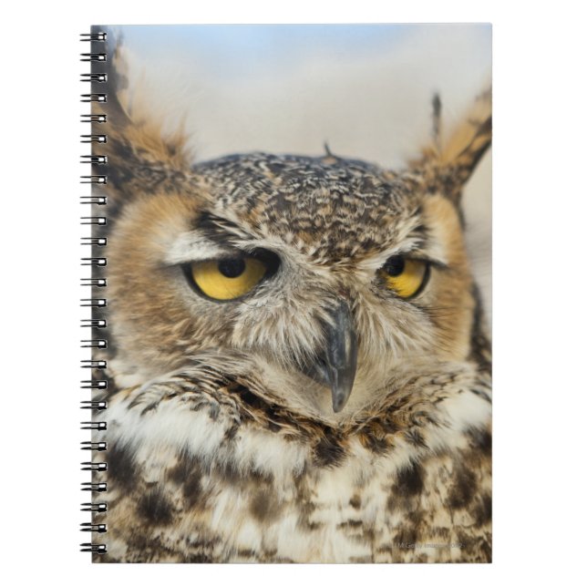 Cuaderno Lechuza Cuerno Grande (Bubo virginianus) (Frente)